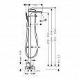 Фотография товара Hansgrohe Metris   31471000